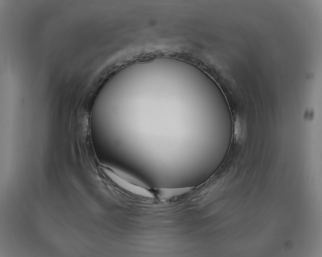 X0000091861492200709261243