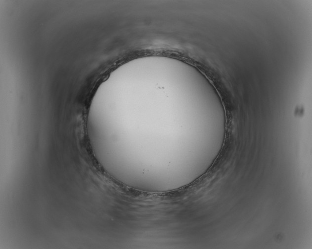 X0000091861493200709261243