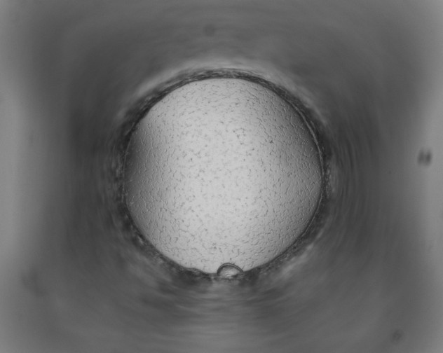 X0000091861494200709261243