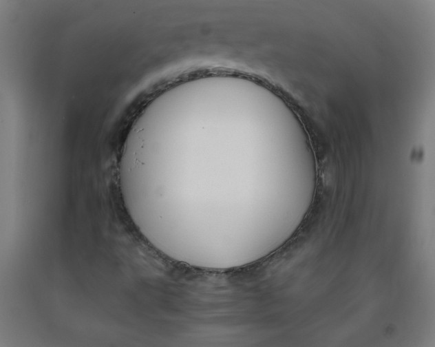 X0000091861495200709261243