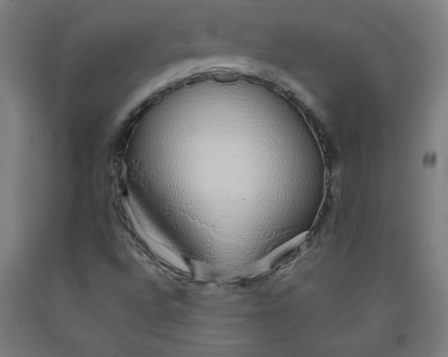 X0000091861496200709261243