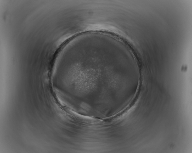 X0000091861497200709261243