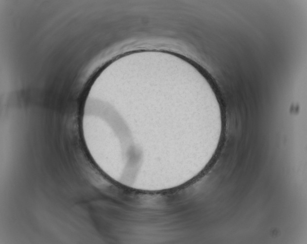 X0000091861498200709261243