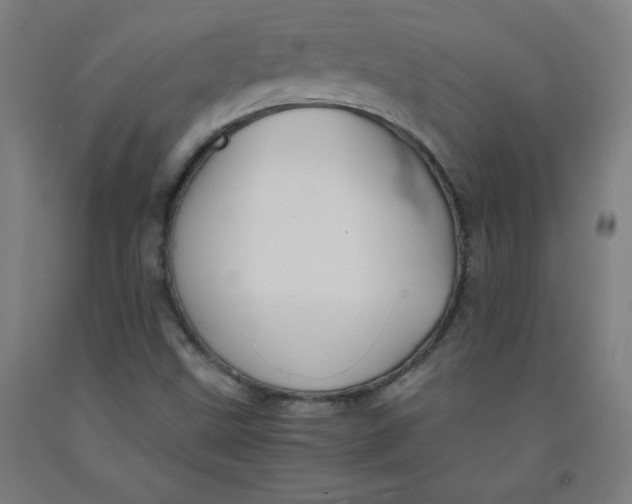 X0000091861499200709261243