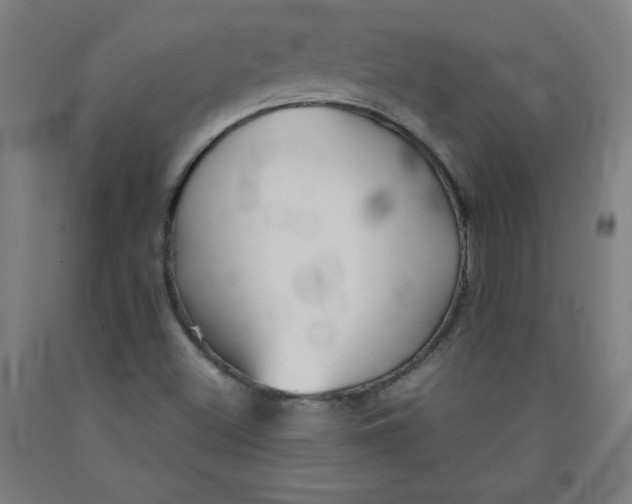 X0000091861500200709261243