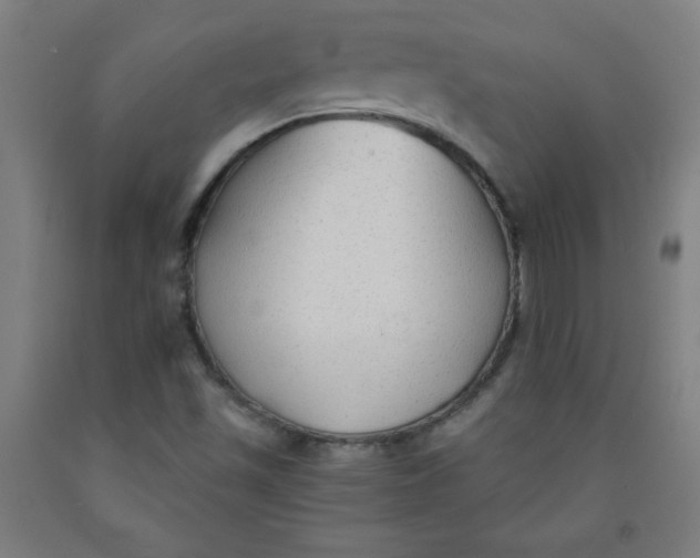 X0000091861501200709261243