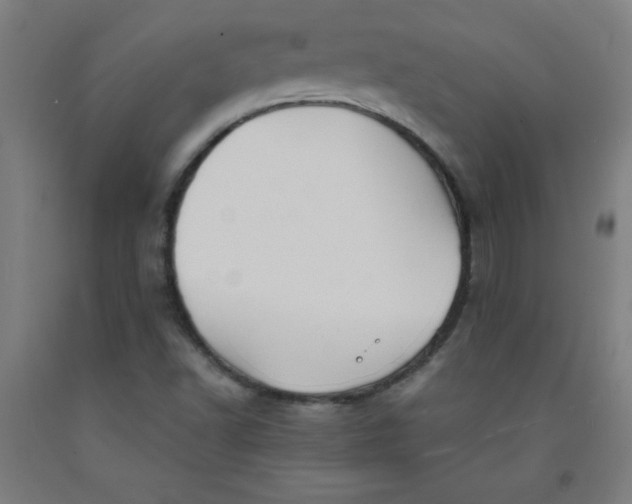 X0000091861502200709261243