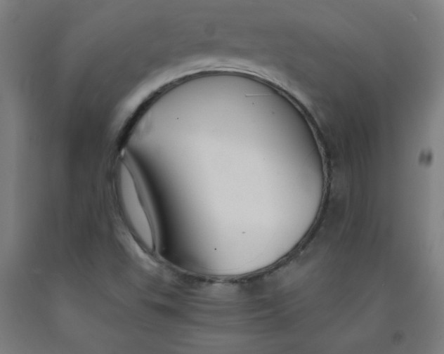 X0000091861503200709261243