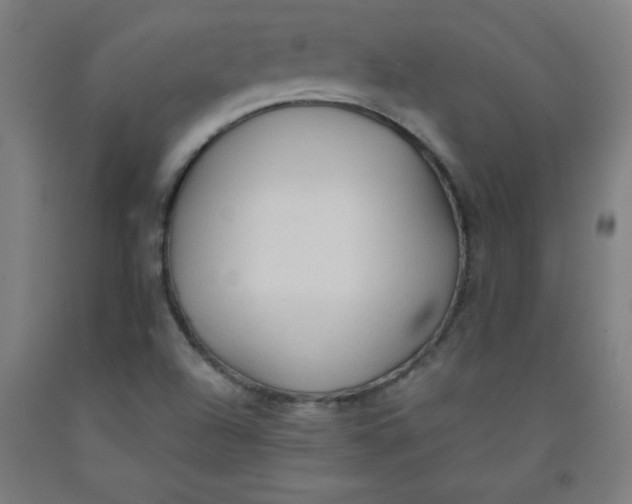 X0000091861504200709261243