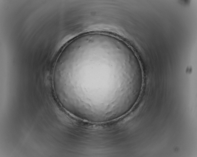 X0000091861505200709261243