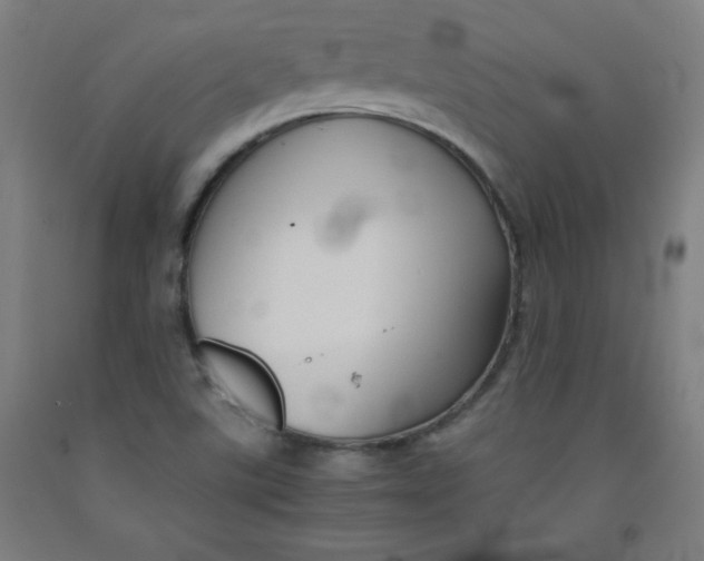 X0000091861507200709261243