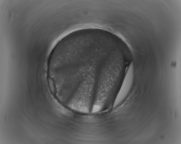 X0000091861508200709261243