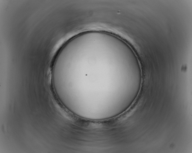 X0000091861509200709261243