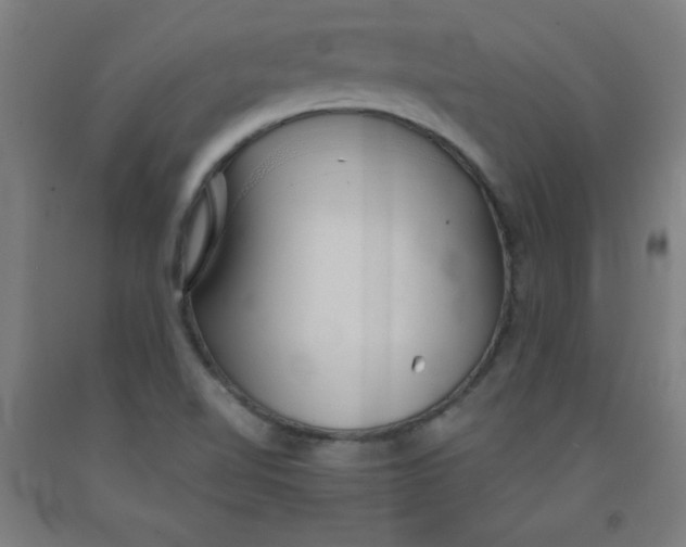 X0000091861510200709261243