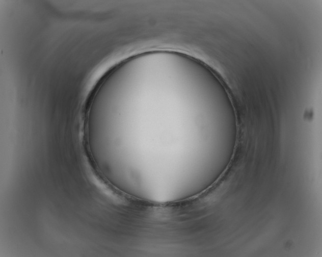 X0000091861511200709261243