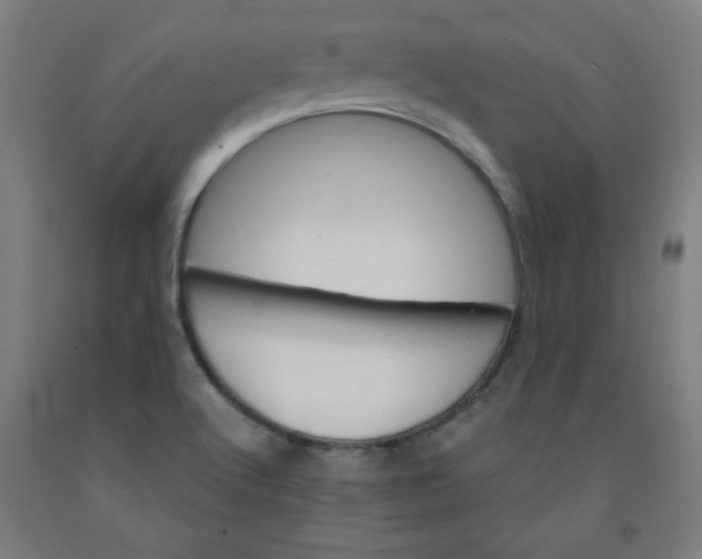 X0000091861512200709261243