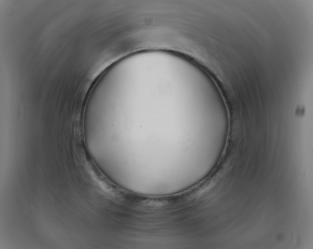 X0000091861513200709261243