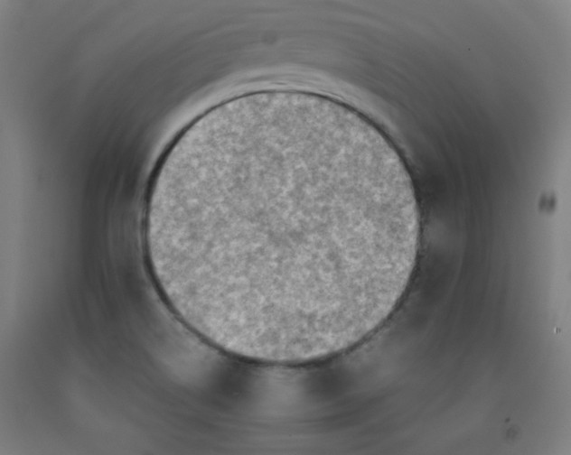 X0000091861514200709261243