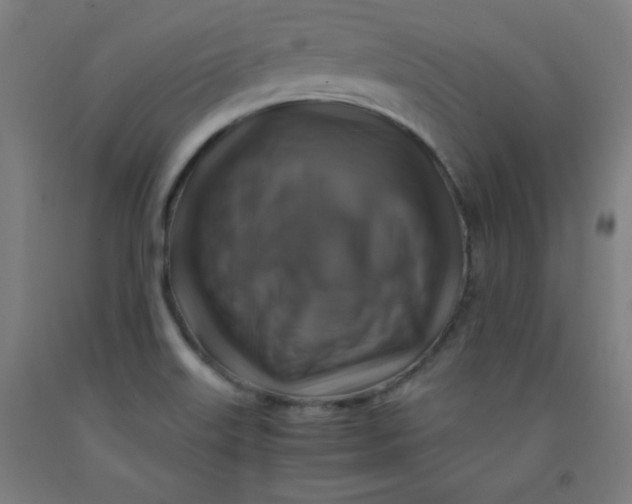 X0000091861515200709261243