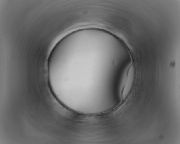 X0000091861516200709261243