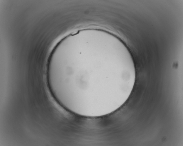 X0000091861518200709261243