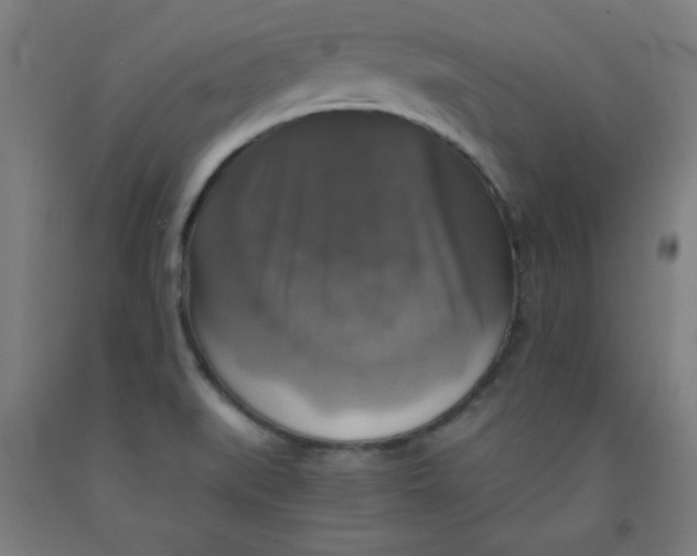 X0000091861519200709261243