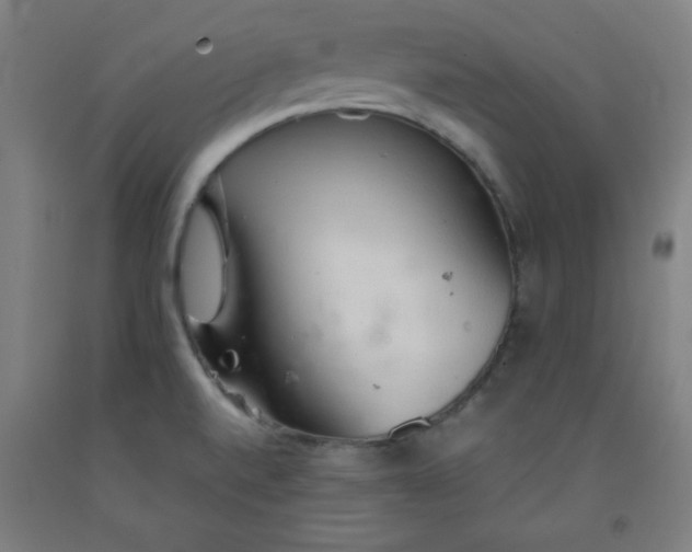 X0000091861520200709261243