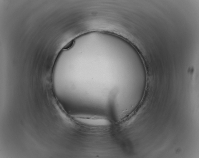 X0000091861521200709261243