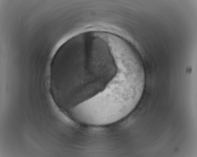 X0000091861522200709261243