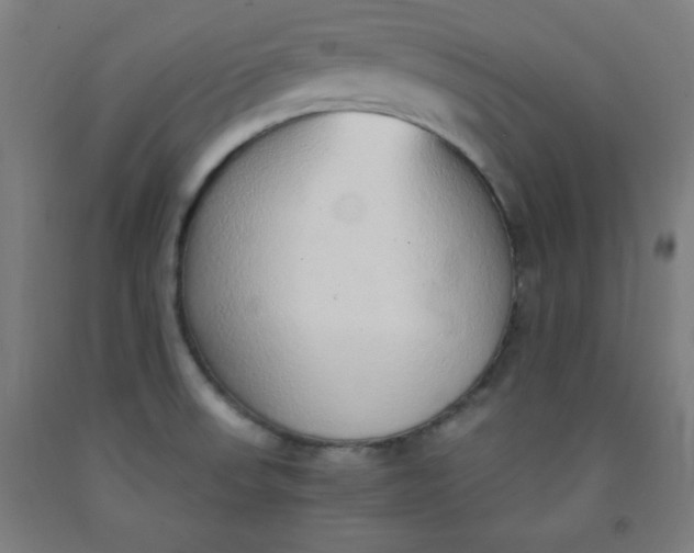 X0000091861523200709261243