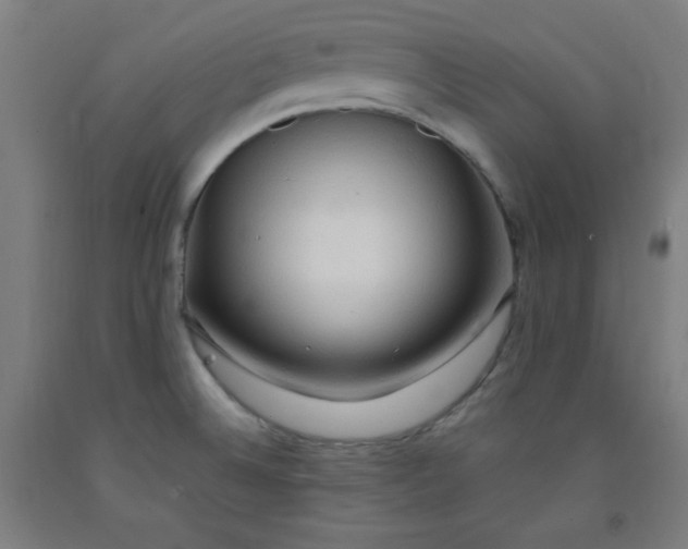 X0000091861524200709261243