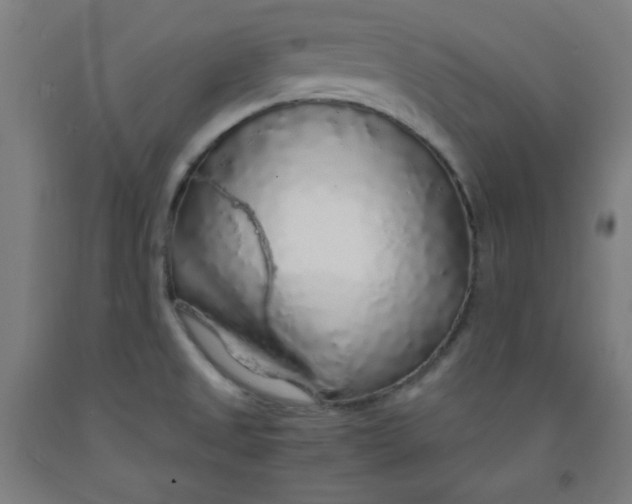 X0000091861525200709261243