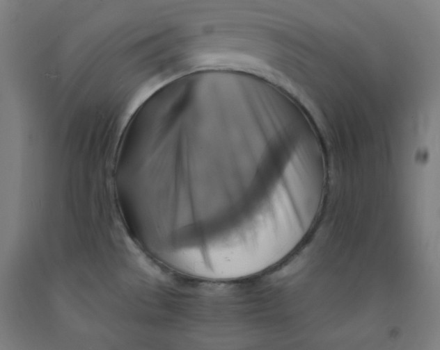 X0000091861529200709261244