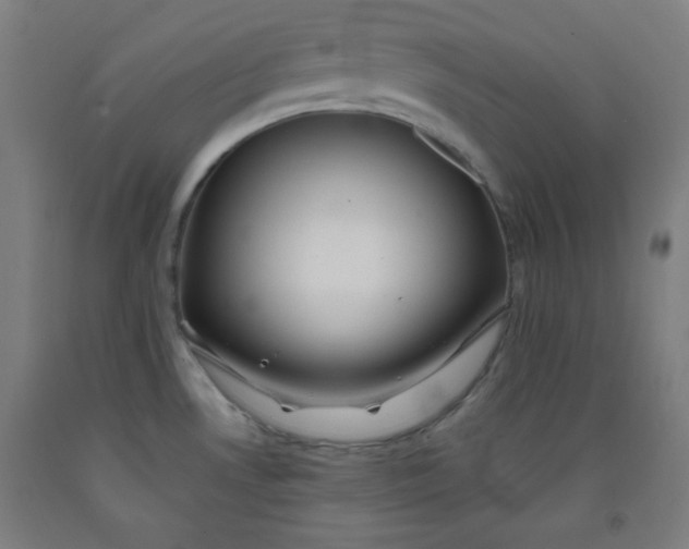 X0000091861530200709261244