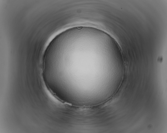 X0000091861531200709261244