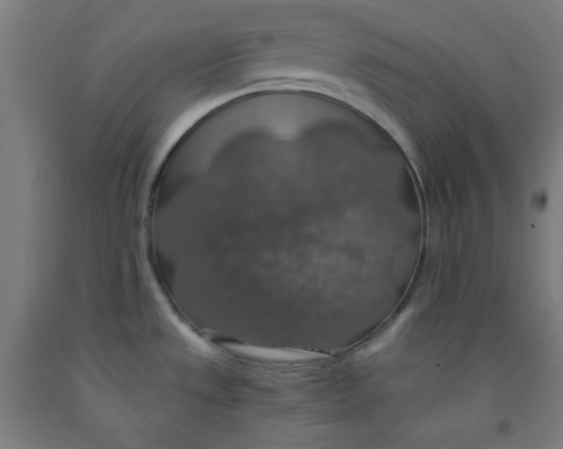 X0000091861533200709261244