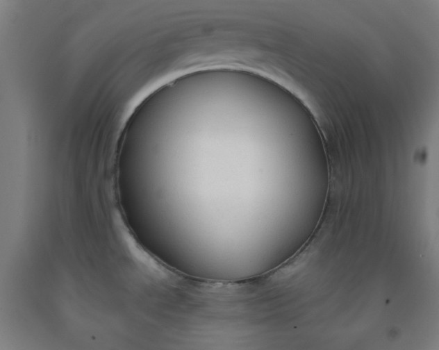 X0000091861534200709261244