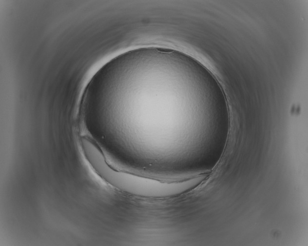 X0000091861536200709261244