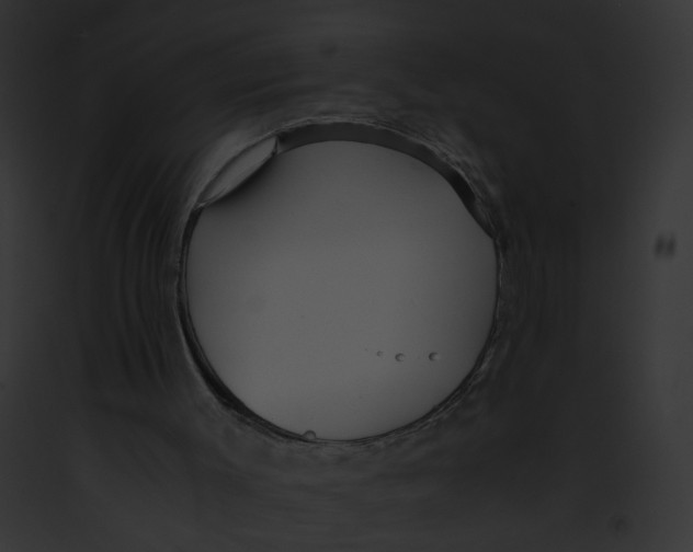 X0000091860003200710031050