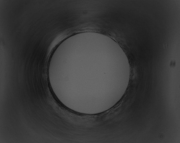 X0000091860004200710031050