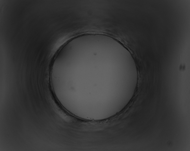 X0000091860005200710031050