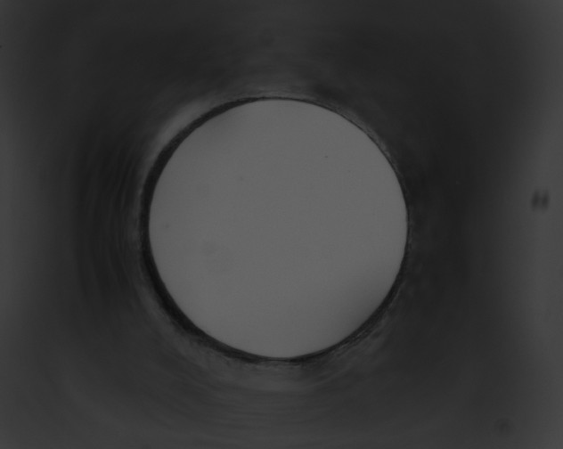 X0000091860008200710031050