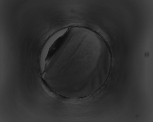 X0000091860009200710031050