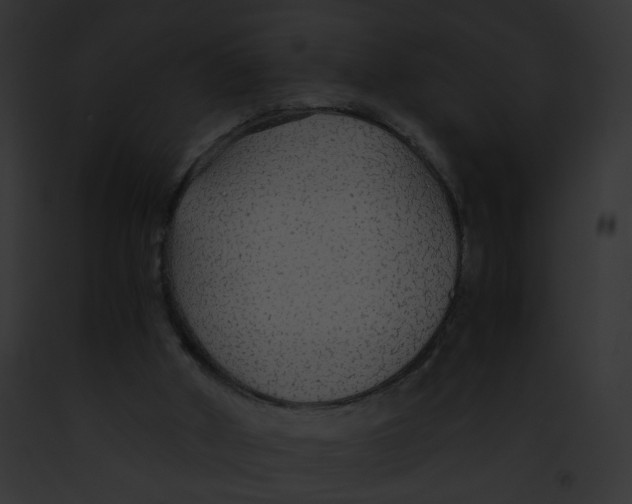 X0000091860010200710031050