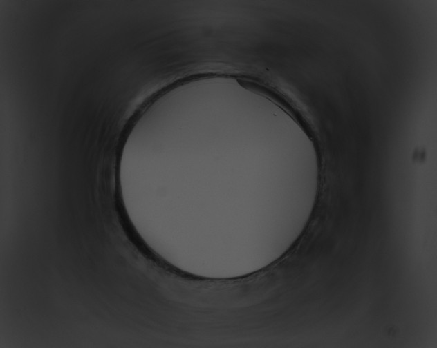 X0000091860011200710031050