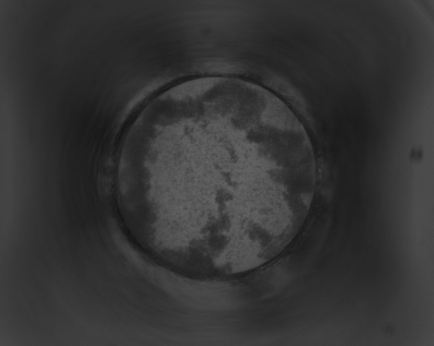 X0000091860012200710031050