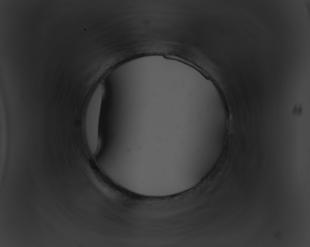 X0000091860013200710031050