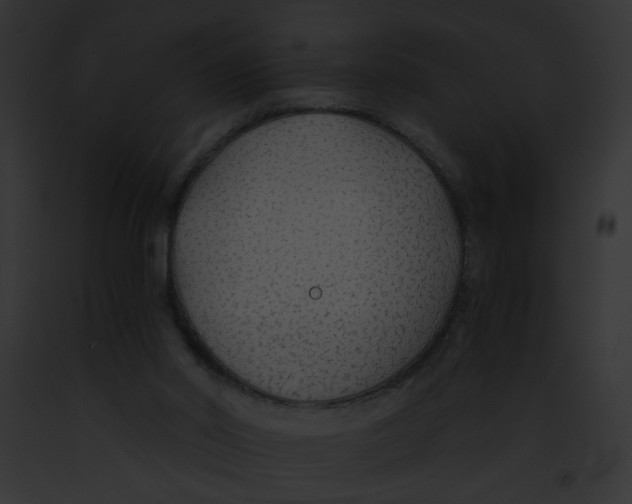 X0000091860014200710031050