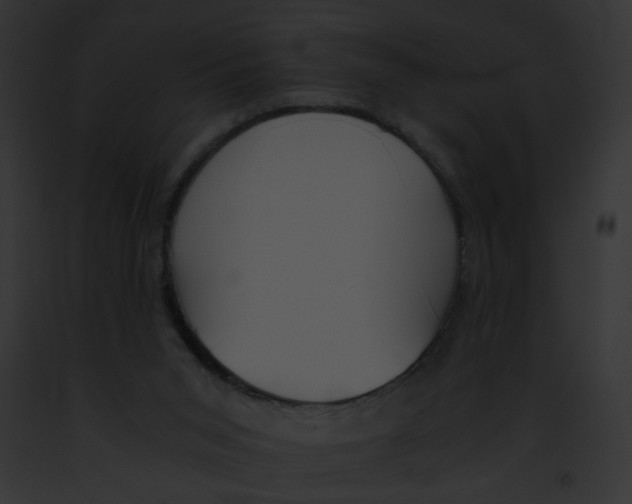 X0000091860015200710031050