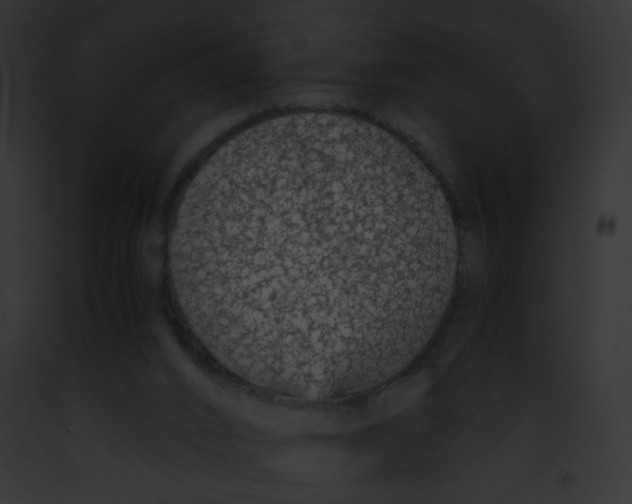 X0000091860016200710031050